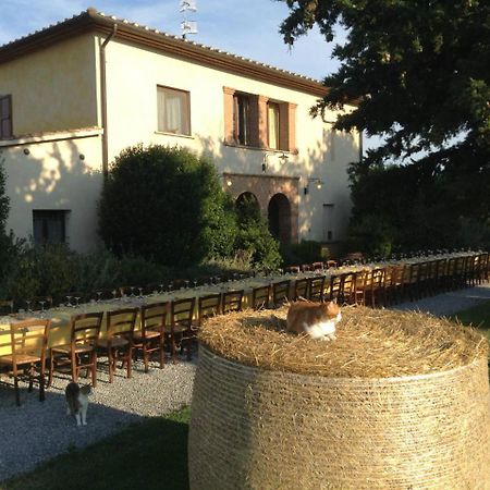 Agriturismo Giuncola & Granaiolo Rispescia Kültér fotó