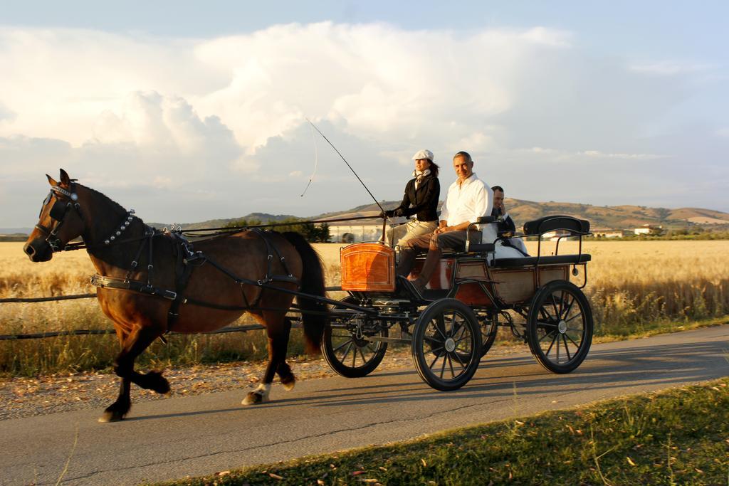 Agriturismo Giuncola & Granaiolo Rispescia Kültér fotó