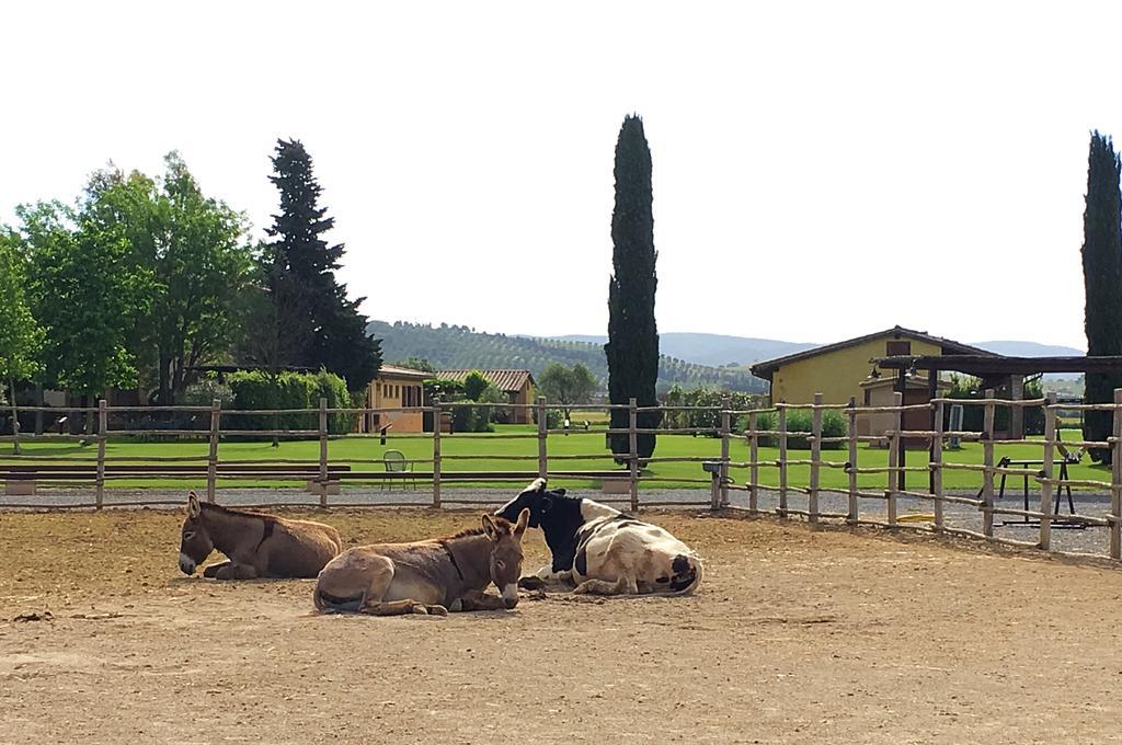Agriturismo Giuncola & Granaiolo Rispescia Kültér fotó