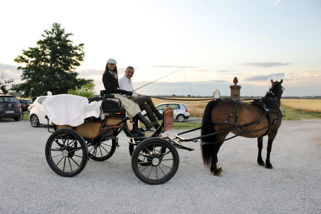 Agriturismo Giuncola & Granaiolo Rispescia Kültér fotó