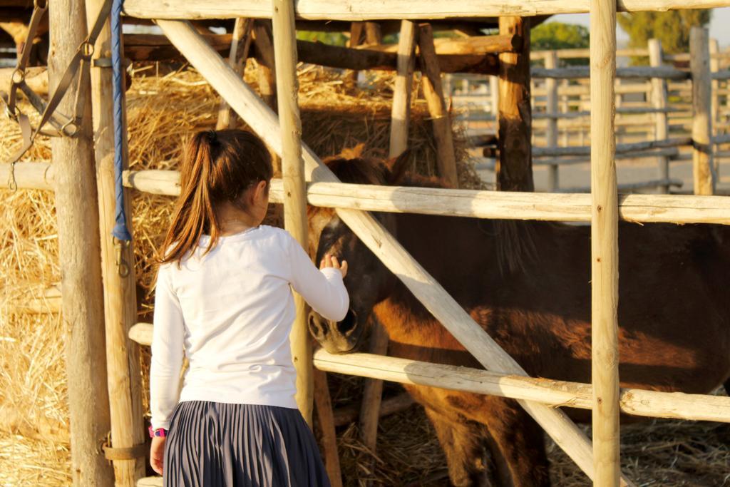Agriturismo Giuncola & Granaiolo Rispescia Kültér fotó