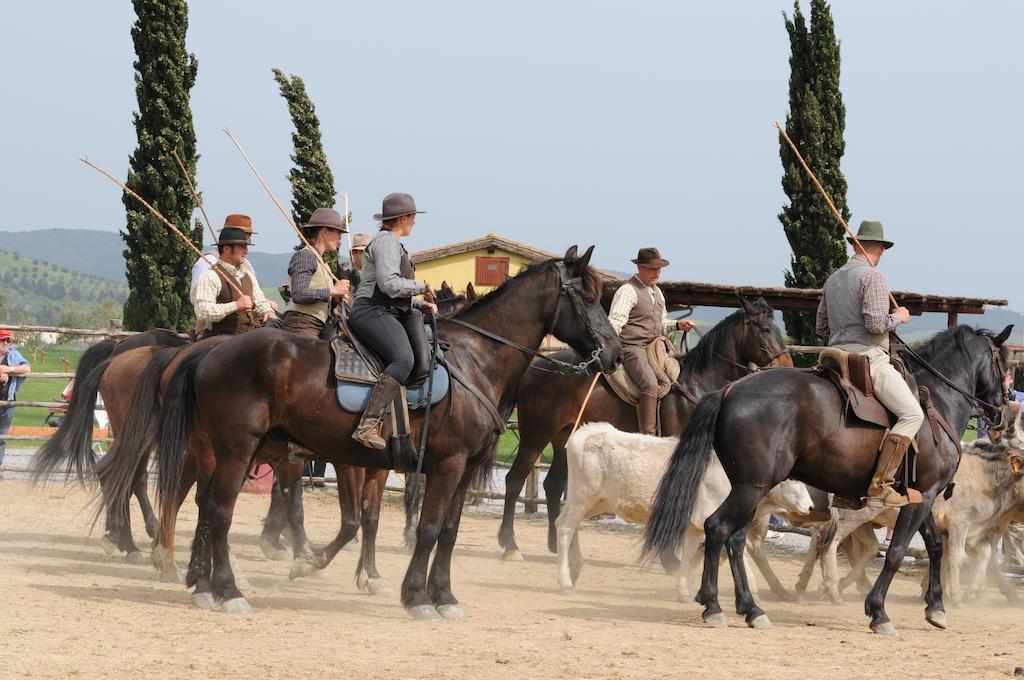 Agriturismo Giuncola & Granaiolo Rispescia Kültér fotó